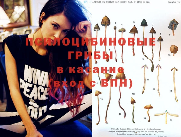 MDMA Карталы